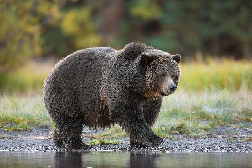 Photo by John E. Marriott.