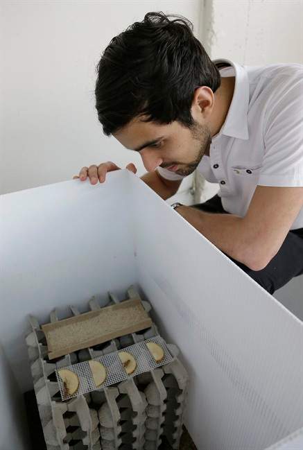 'Entopreneurs' feed growing appetite for edible insects