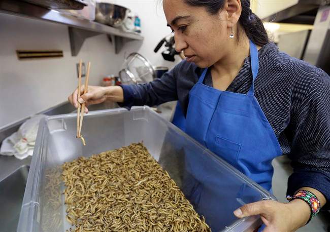 'Entopreneurs' feed growing appetite for edible insects