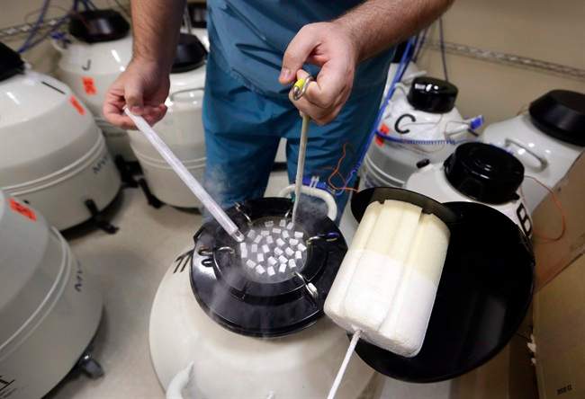 An embryologist displays some of the frozen sperm stored at Reproductive Medicine Associates of New York, in this 2013 file photo.