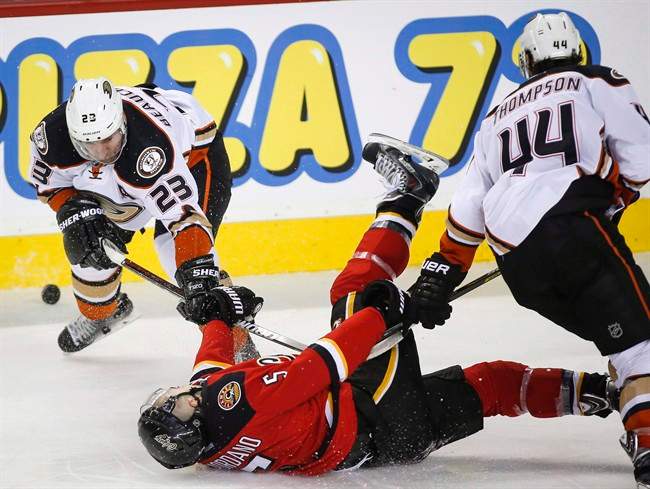 Flames Ducks