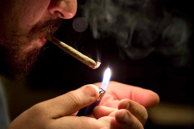 Marijuana use may be down among youth: StatsCan - image