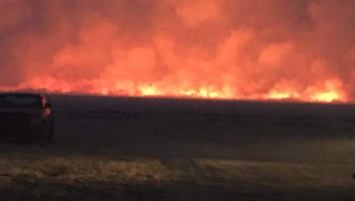 Six fire departments battle through the night to bring a grass fire near Borden, Sask. under control.