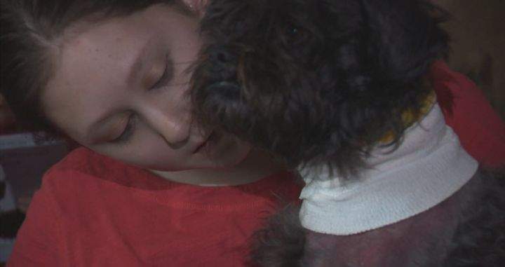 Claire Moore holds her dog Olli, after the two were attacked by Staffordshire Terriers last Friday.