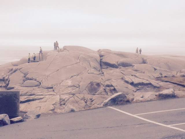Emergency crews work on the rocks near the water in Peggys Cove, N.S.
