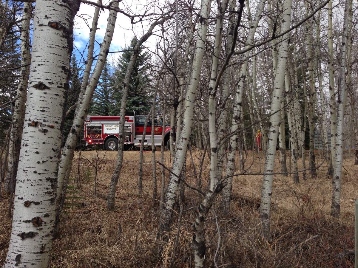 Fire crews battle grass fire in Nose Hill Park - image