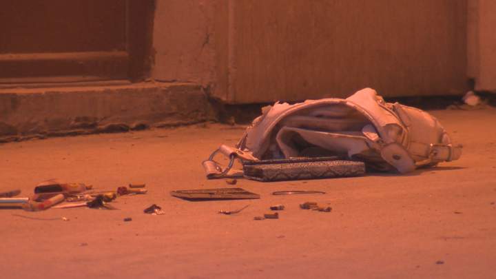 Hargrave Street Winnipeg police assault