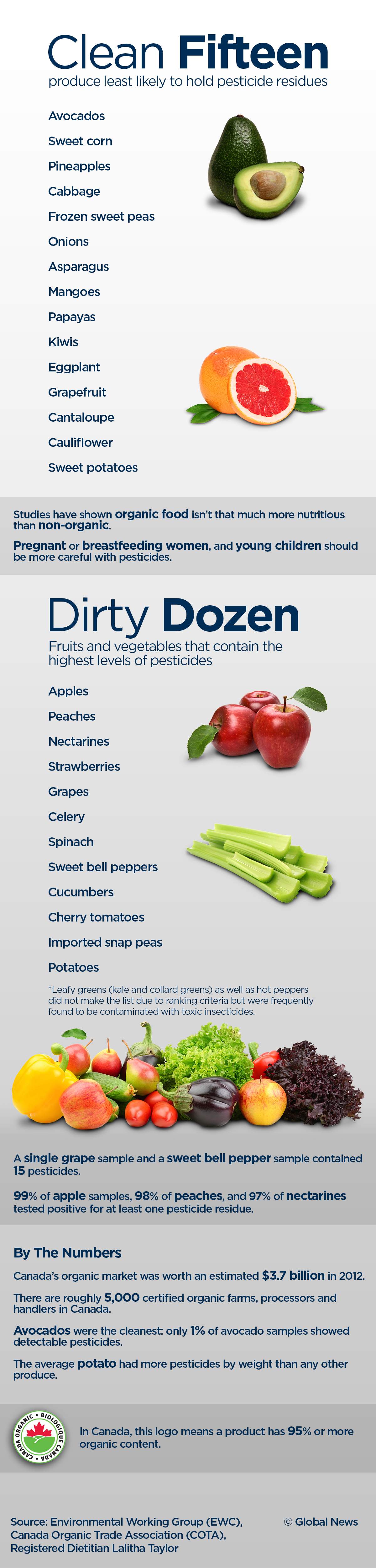 Reality Check: Superfoods, organic food, paleo and gluten-free diets - image