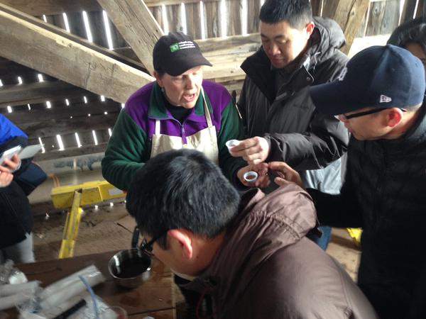 About 120 newcomers visited the sugar camp Friday morning.