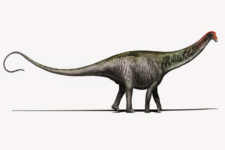 The Brontosaurus is back.