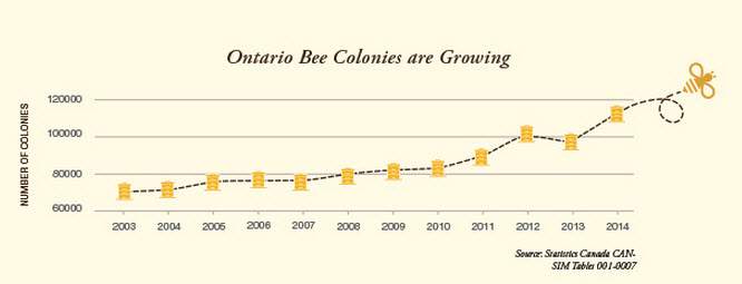 A screenshot from the BeesMatter website.