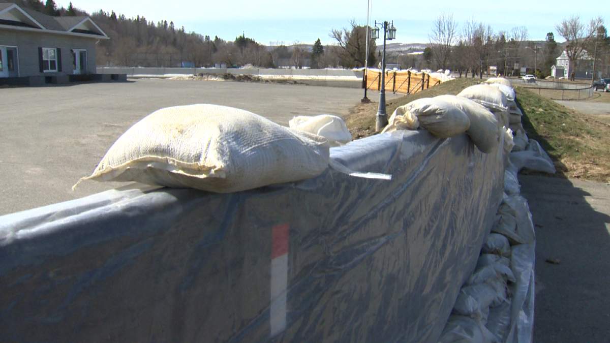 Jennifer Eagan and her family built this $50,000 berm to protect their special care home in Perth-Andover.