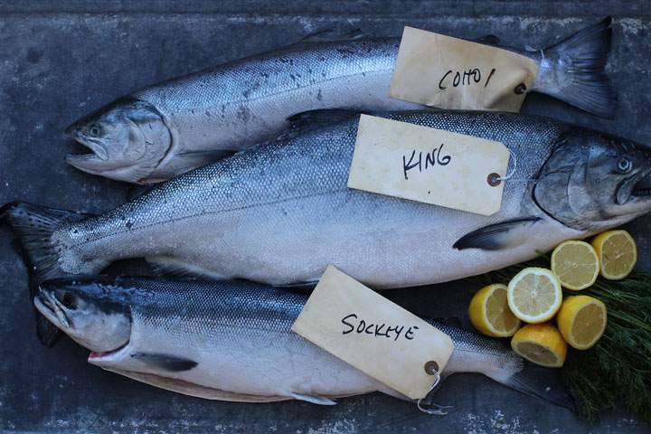 This March 16 2015 photo shows salmon varieties from top to bottom, Coho, King, and Sockeye salmon in Concord, NH.
