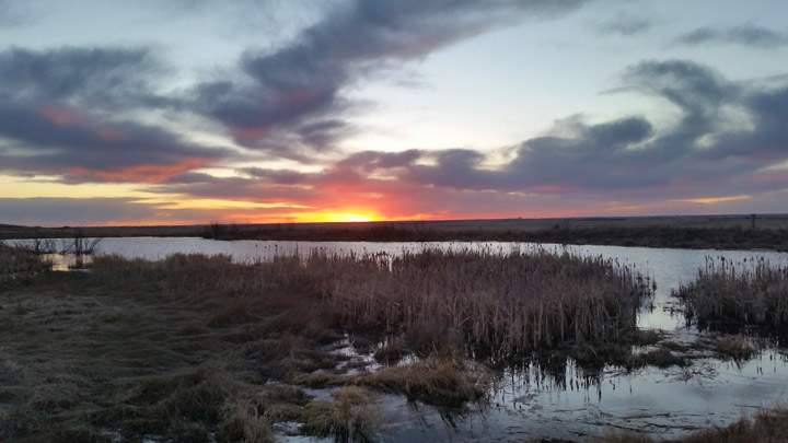 April 19: This Your Saskatchewan photo was taken by Jerah Korol on Highway 41 just outside Saskatoon.