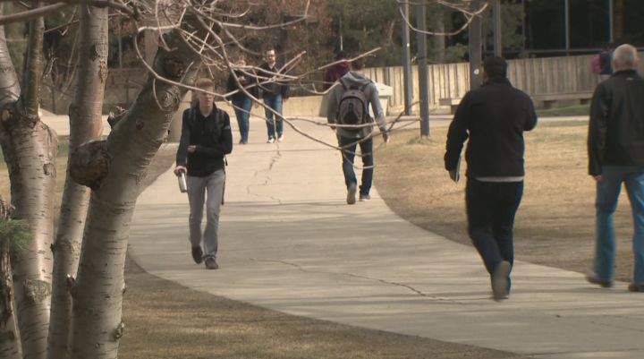 University of Alberta campus, on April 17, 2015.