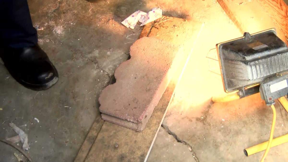 Timmy falls down a well