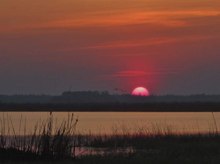 May 29: This Your Saskatchewan photo was taken by Dorothy Caisse in Île-à-la-Crosse.