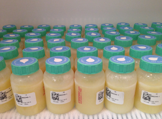According to a study, about seven per cent of 491 babies died from gastrointestinal disease within 30 days of birth in Alberta between 2006 and 2011, 90 per cent of which were premature births or had a low birth weight.
