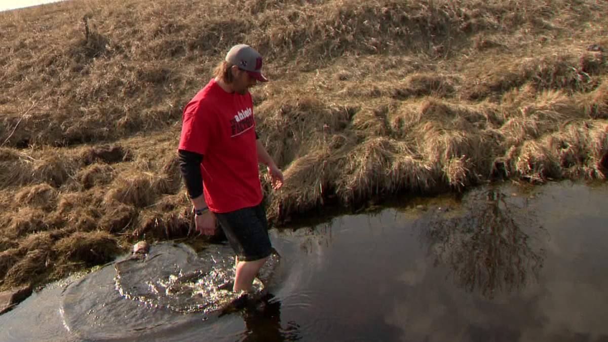 Bryn Roy cooling off at his “cowboy oasis” just steps away from his parents’ farm in southern Alberta.