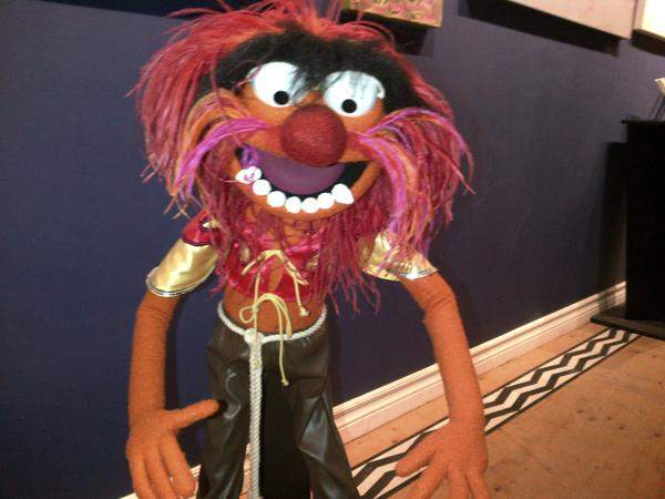 Animal the Muppet is in Halifax for a Tribute to Jim Henson, May 2015.