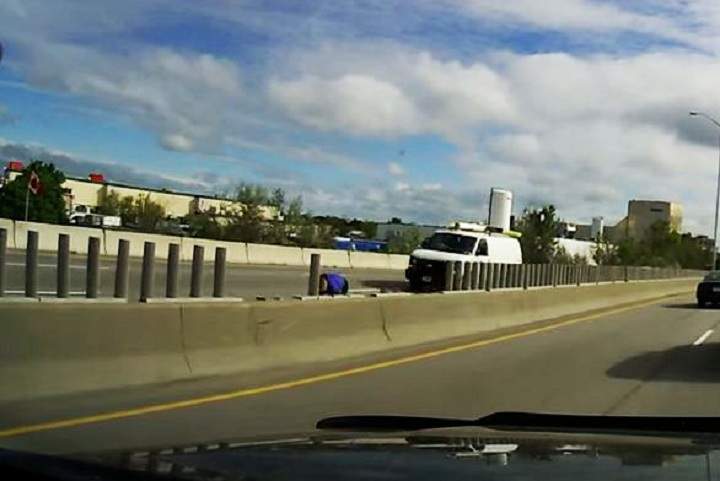 A still from video shared on social media of a woman who allegedly was trying to rescue ducks on a highway in Ottawa on May 20, 2015.