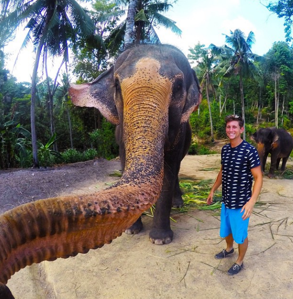This elephant selfie is garnering worldwide attention.