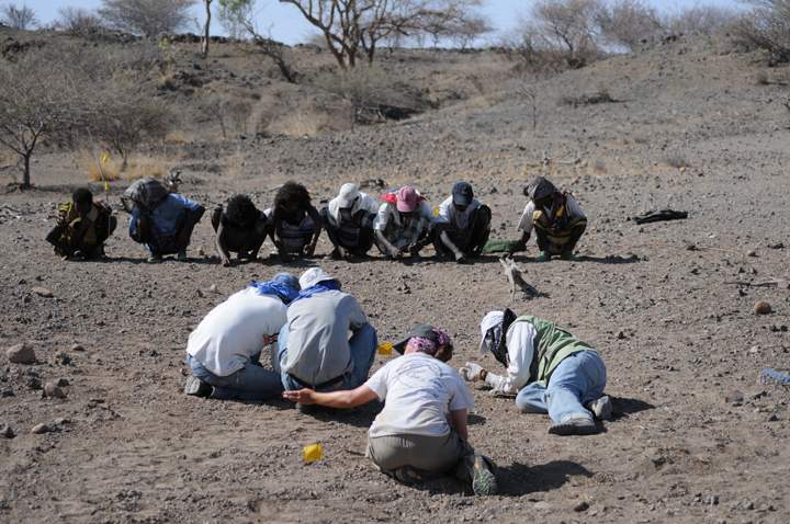 Team members crawl the area where the jaw was found, searching for more pieces.