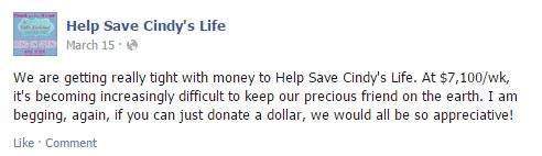 Ontario woman charged after ‘fabricated illness’ campaign nets more than $125,000 - image