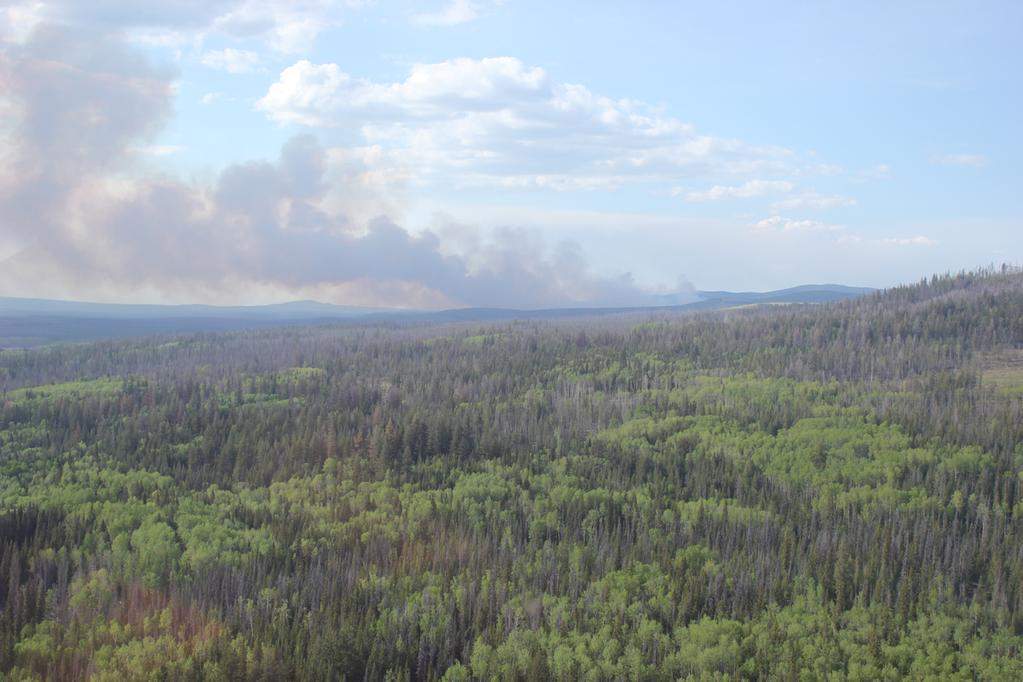 Wildfire burning northwest of Quesnel.