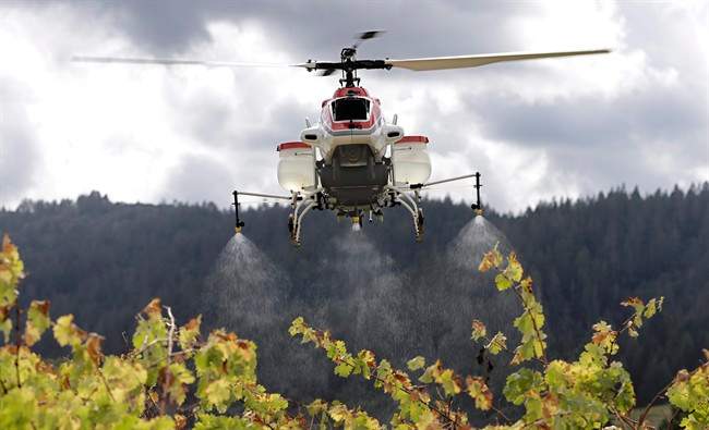 Fast-evolving drones creating new options for industry in Canada - image