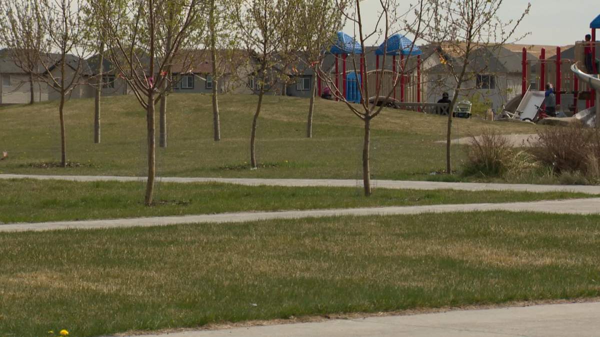 Dog killed by another dog in Calgary’s northeast - image