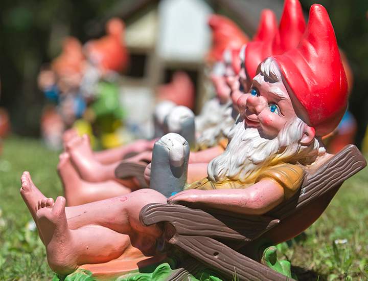 Gnomes