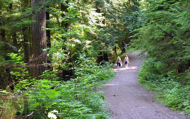 5 nerdy (but cool) free things to do on the long weekend - image