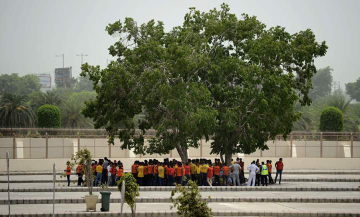 Indian tourists stand under the shade of a tree in New Delhi on May 28, 2015.