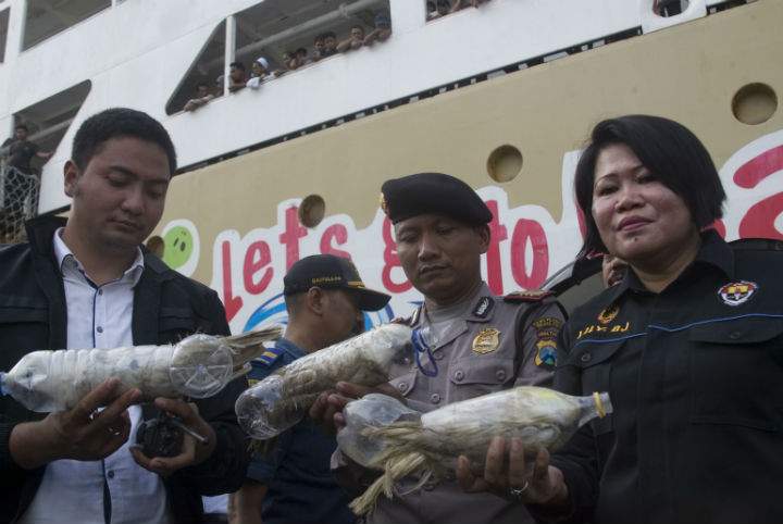 A 37-year-old man was arrested after he alighted a passenger ship in Tanjung Perak port in Surabaya, in eastern Java island. Police found 21 yellow-crested cockatoos and one green parrot.