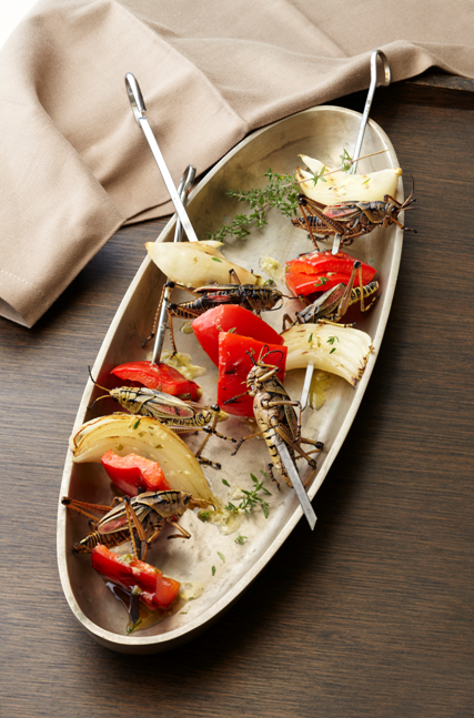 Skewers of crickets, katydids, grasshoppers, or other large-bodied Orthoptera,