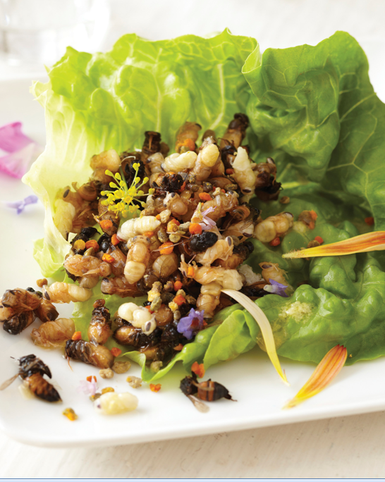 Chef Gordon’s three bee salad – Served on a bed of lettuce, decorated with the nasturtium petals, a bee-utiful touch for this bee-atific dish.