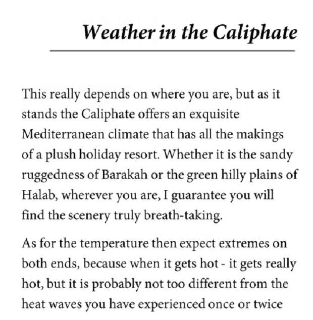 Summer with ISIS? Guidebook aims to attract visitors to Islamic State - image