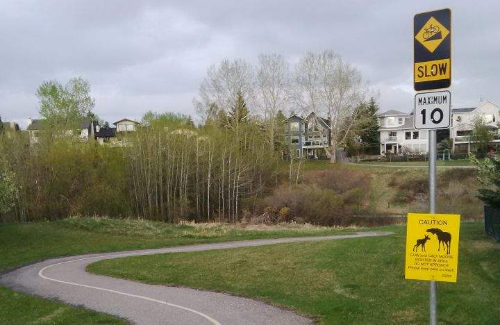 Moose Scenic Acres Park