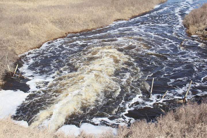 May 3: This Your Saskatchewan photo was taken by Amanda Risling near Scott.