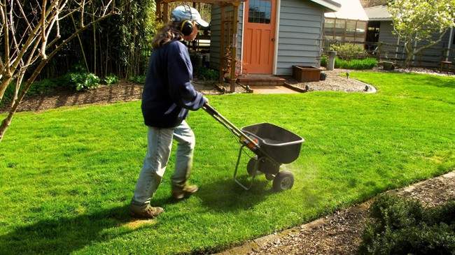 lawn care
