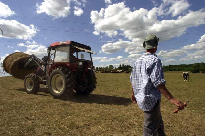 Organic farmer Mike Beretta is pictured on his 650 acre farm where he raises pigs and cattle for the organic meat market in Toronto.