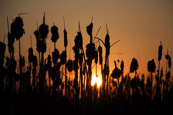 May 31: This Your Saskatchewan photo was taken by Teresa Taylor in Saskatoon.