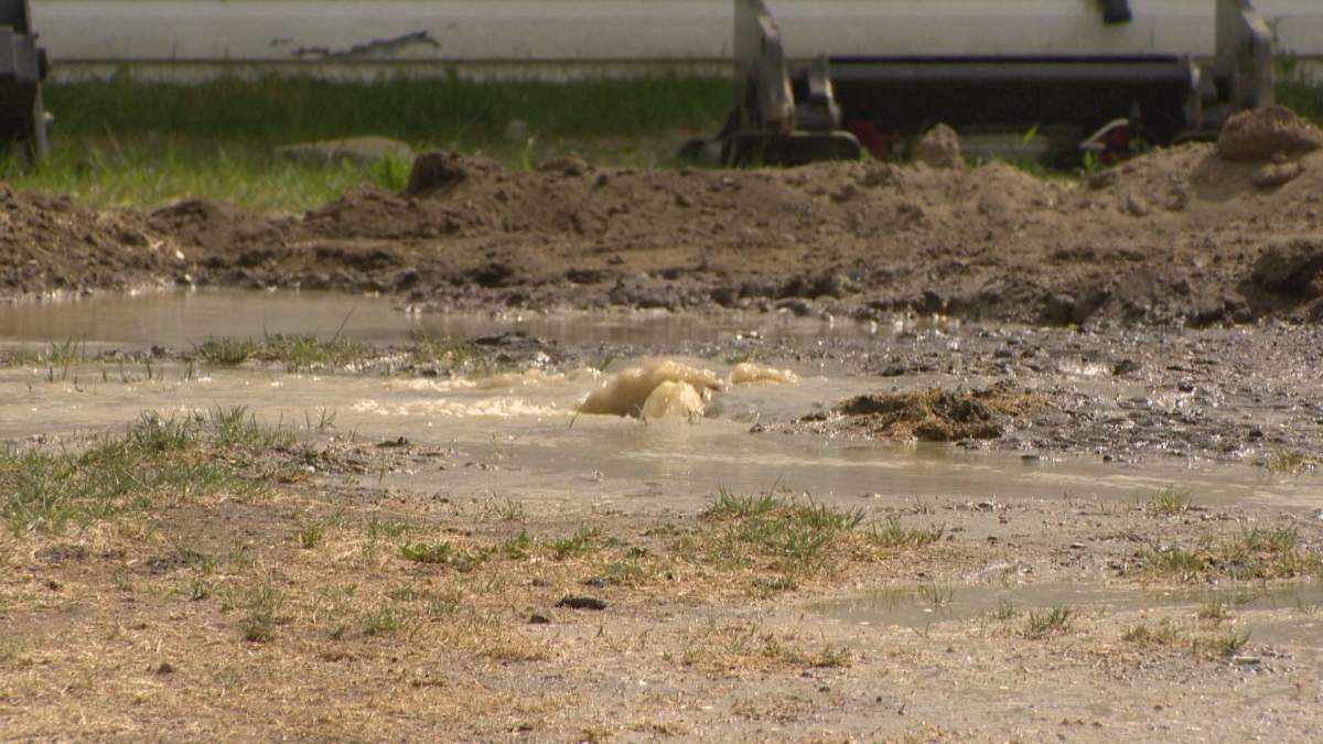 A water main break in Regina's south end is an unfortunate waste when the city is trying to conserve water. 