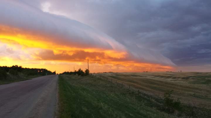 June 2: Neil Sakney took this Your Saskatchewan photo near St. Walburg.