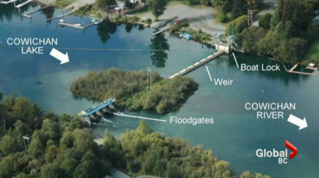 Lower flow levels on Cowichan River raising concern - image