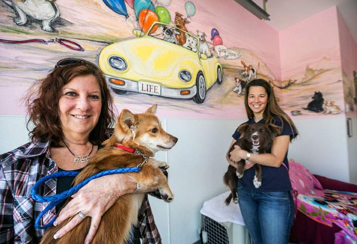 In this Wednesday, May 20, 2015 photo, Laurie Bernie, left, and daughter Emily Bernie, right, founder and president at LIFE Animal Rescue, pose for a photo with rescued dogs Casey, left, and Velvet at their shelter in Agoura Hills, Calif. LIFE Animal Rescue has placed 50 dogs rescued from Thailand over the past two years. Moreover, the 24-year-old rescue has placed more than 6,000 dogs locally, since it was started.