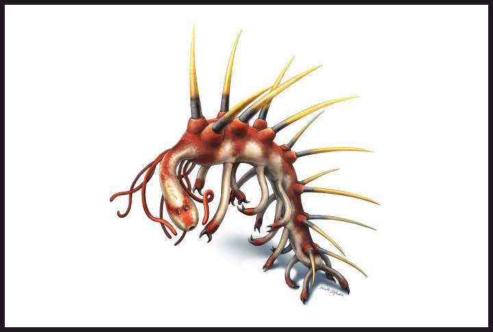 An artists' representation of hallucigenia -- with a head.