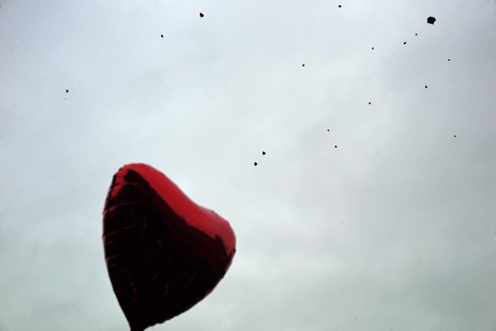 Can you die of a broken heart?.