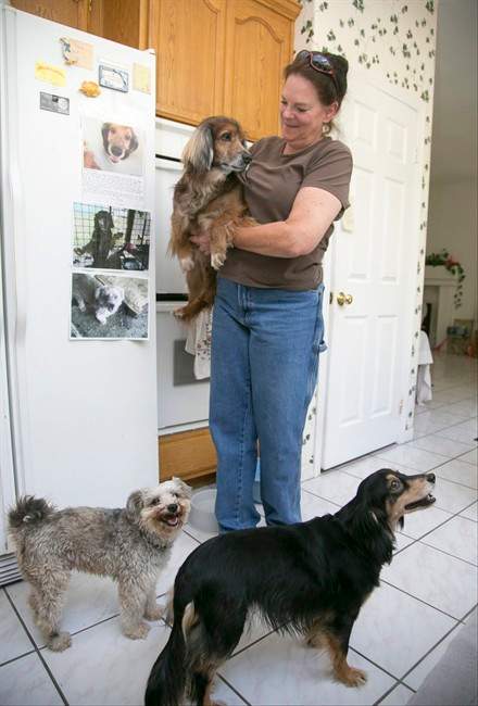 From tiny cages to lots of love Thai dogs find homes in US